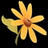 Sunny Daisy map marker artwork