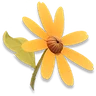 Sunny Daisy map marker artwork